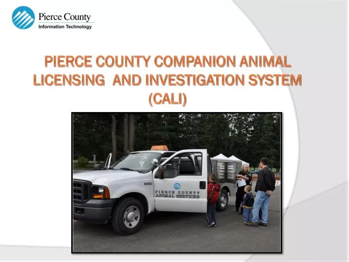 pierce county companion animal licensing and investigation system cali