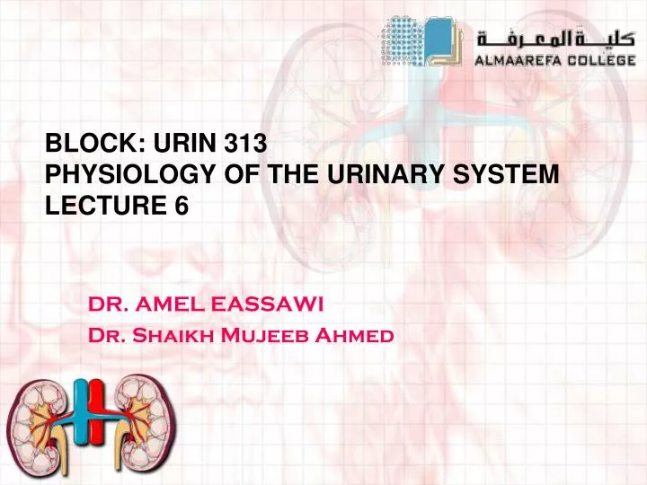 block urin 313 physiology of the urinary system lecture 6