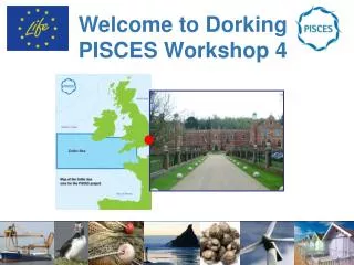 Welcome to Dorking PISCES Workshop 4
