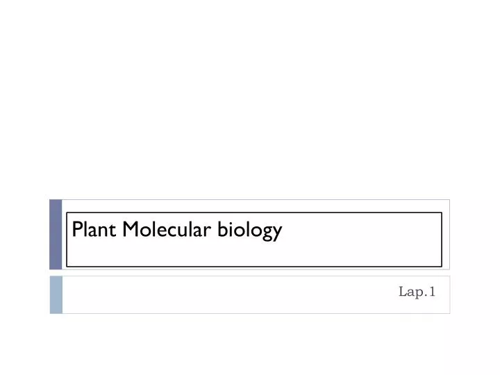 plant molecular biology