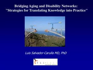 Bridging Aging and Disability Networks: &quot;Strategies for Translating Knowledge into Practice&quot;