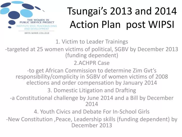 tsungai s 2013 and 2014 action plan post wipsi