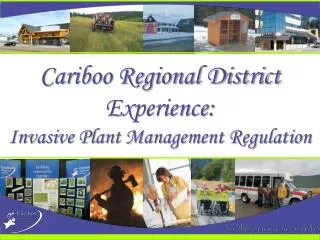 Cariboo Regional District Experience: Invasive Plant Management Regulation