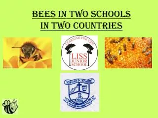 Bees in Two Schools In two countries