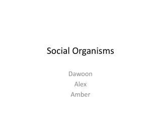 Social Organisms