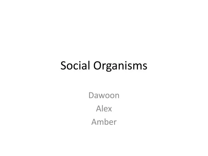 social organisms