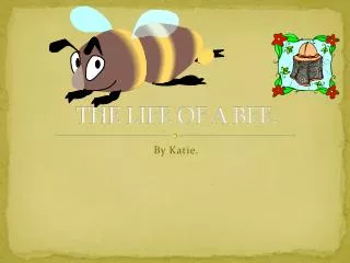 THE LIFE OF A BEE.