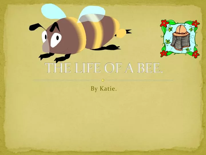 the life of a bee
