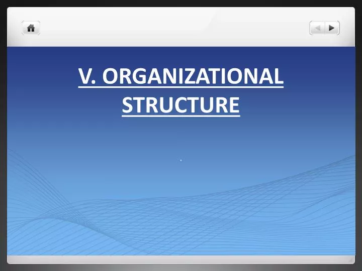 v organizational structure