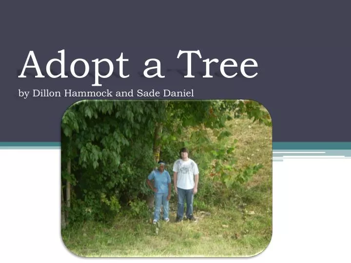 adopt a tree by dillon hammock and sade daniel