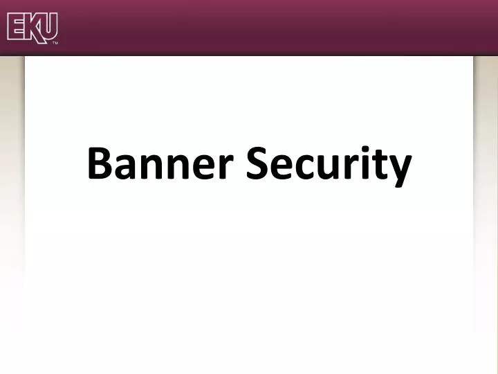 banner security