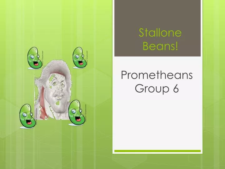 stallone beans