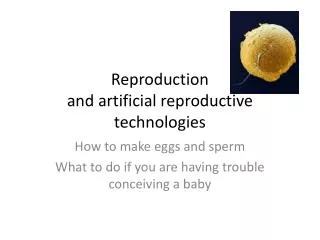 Reproduction and artificial reproductive technologies