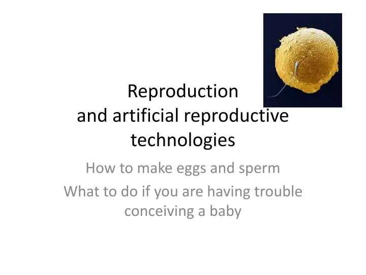 reproduction and artificial reproductive technologies