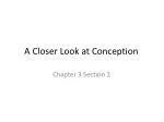 A Closer Look at Conception - slide 1