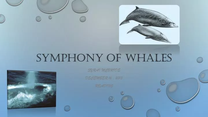 symphony of whales