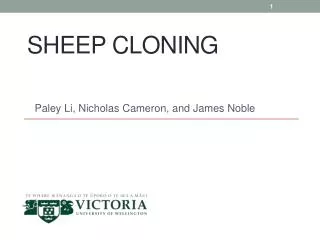Sheep Cloning