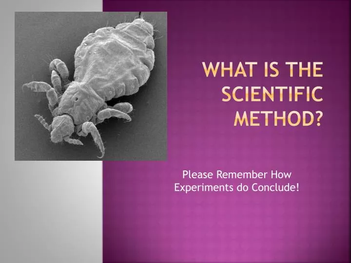 what is the scientific method