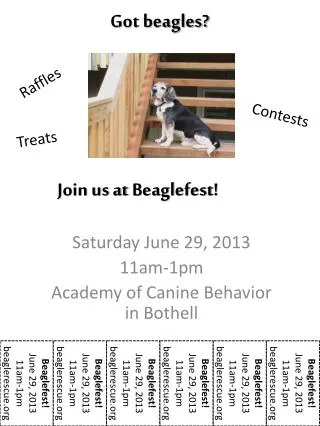 Got beagles?