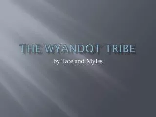 The Wyandot tribe