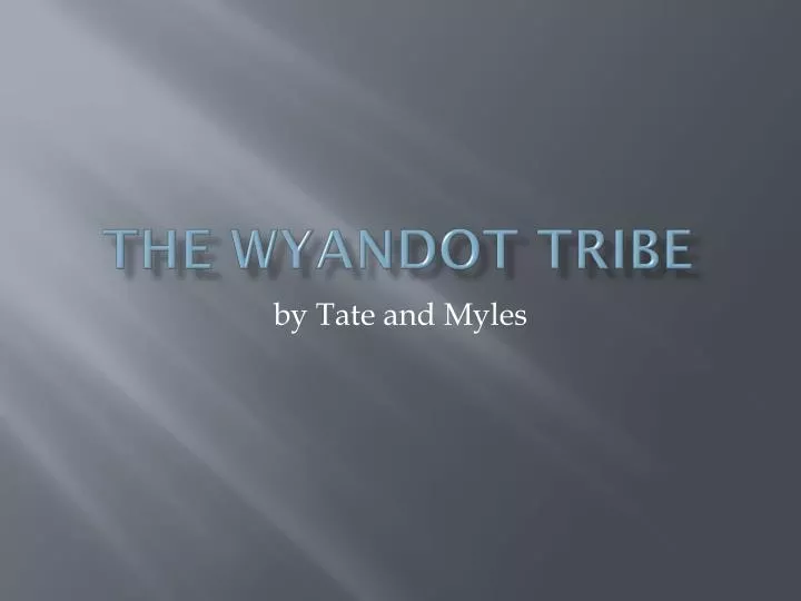the wyandot tribe