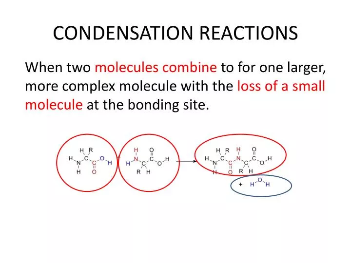 condensation reactions