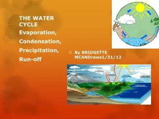 THE WATER CYCLE