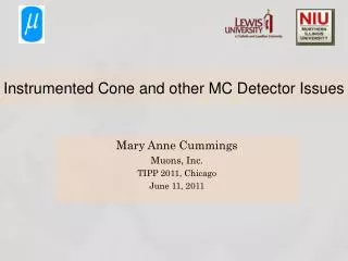 Instrumented Cone and other MC Detector Issues