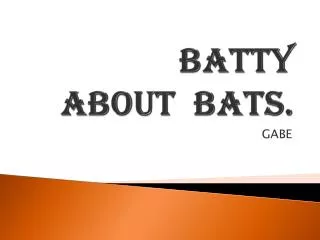batty about bats.
