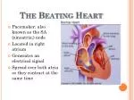 The Beating Heart - slide 1