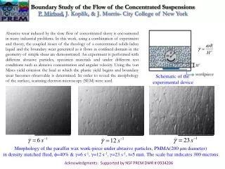 Boundary Study of the F low of the Concentrated S uspensions
