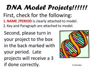 DNA Model Projects !!!!!! First, check for the following: