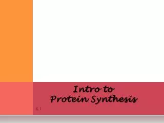 Intro to Protein Synthesis