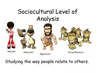 Sociocultural Level of Analysis