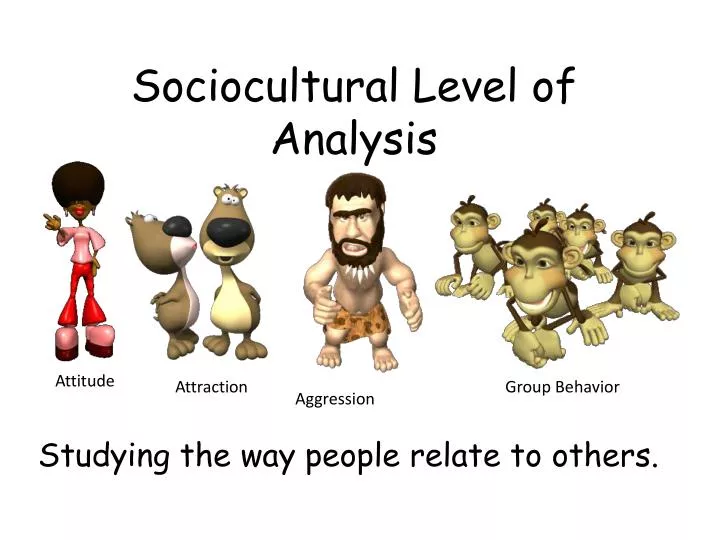 sociocultural level of analysis