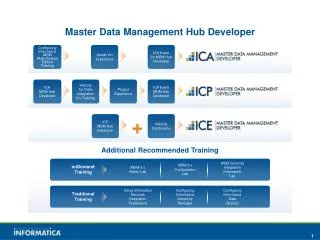 Master Data Management Hub Developer