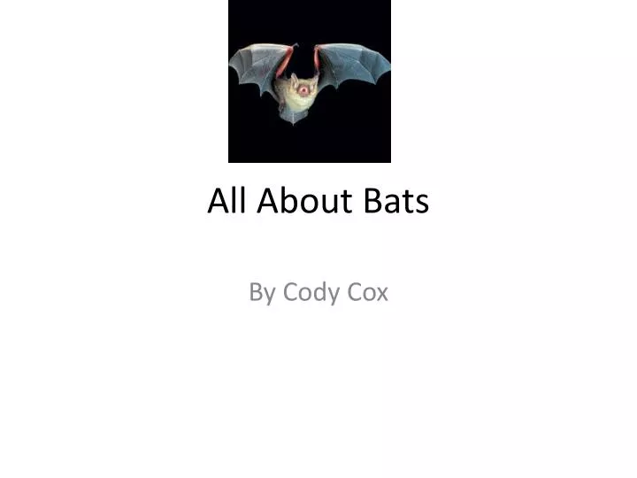 all about bats