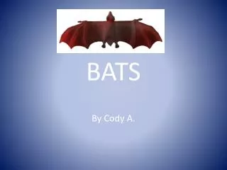 BATS