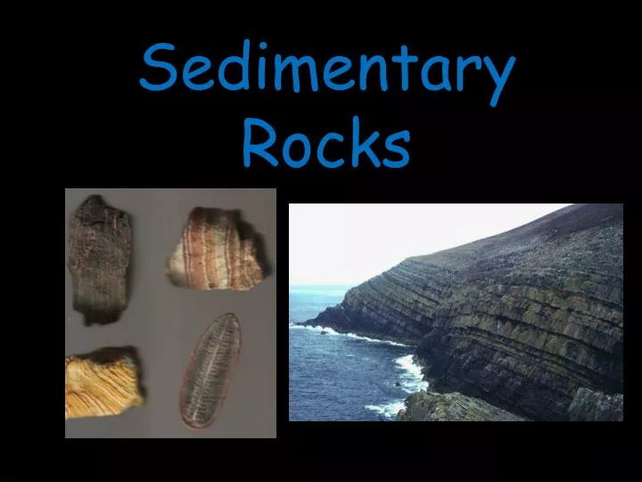 sedimentary rocks