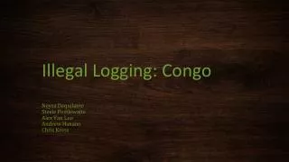 Illegal Logging: Congo