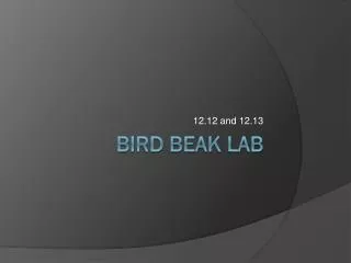 Bird Beak Lab