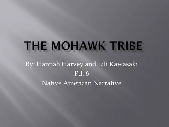 the mohawk tribe