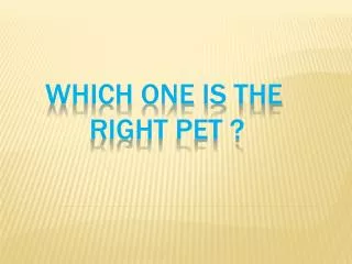 which one is the right pet ?