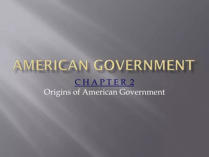 american government