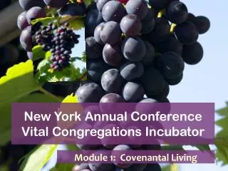 New York Annual Conference Vital Congregations Incubator