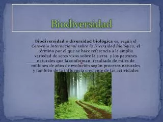 PPT - BIODIVERSIDAD PowerPoint Presentation, Free Download - ID:3102428