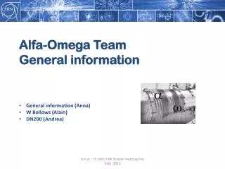 Alfa-Omega Team General information