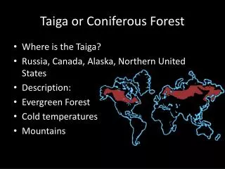 Taiga or Coniferous Forest