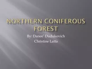 Northern Coniferous forest