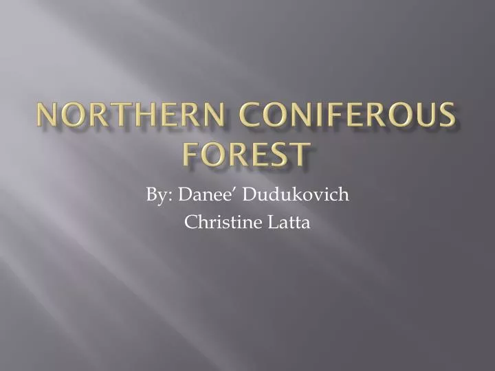 northern coniferous forest